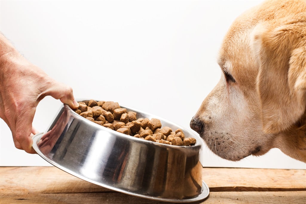 Pet Food Reviews